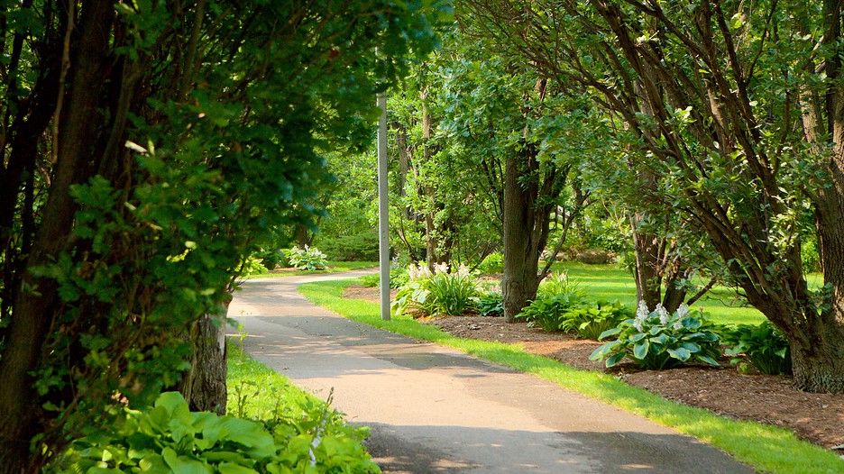 Trips to Brampton, Canada Find travel information Expedia.co.in