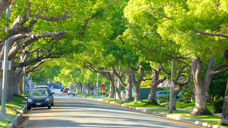 Beverly Hills Vacation Packages Book Beverly Hills Trips Travelocity