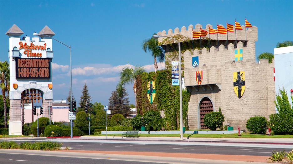 This attraction features animals No self-respecting bachelor would come to Medieval Times (Buena Park, CA) if they know it is an all-male jousting revue. The only female (food servers not considered as part of the show) is the supposedly princess with a squeaky voice.