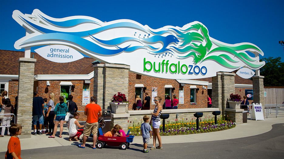 Buffalo Zoo in Buffalo, New York Expedia