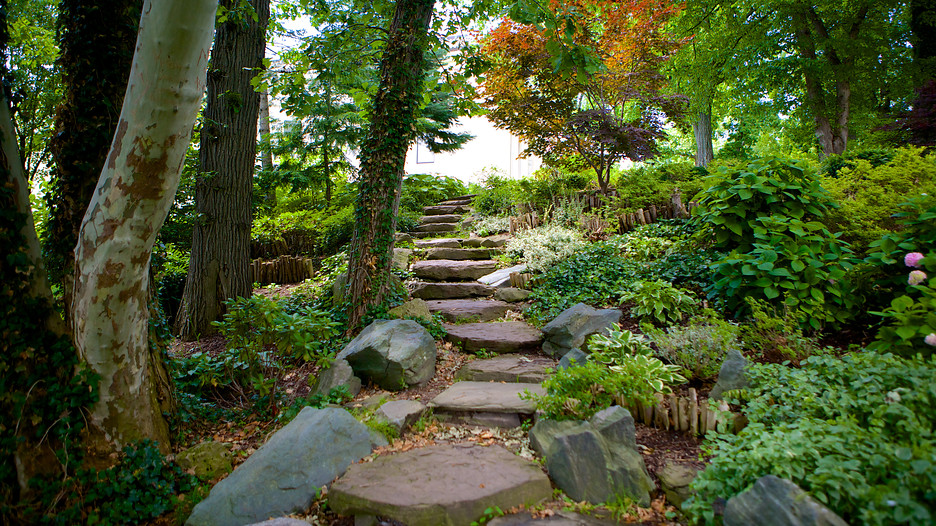 Delaware Park Delaware Park