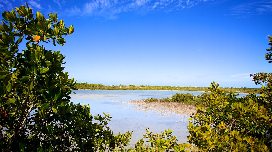 Big Pine Key Vacations 2017 Package & Save up to 603 Expedia