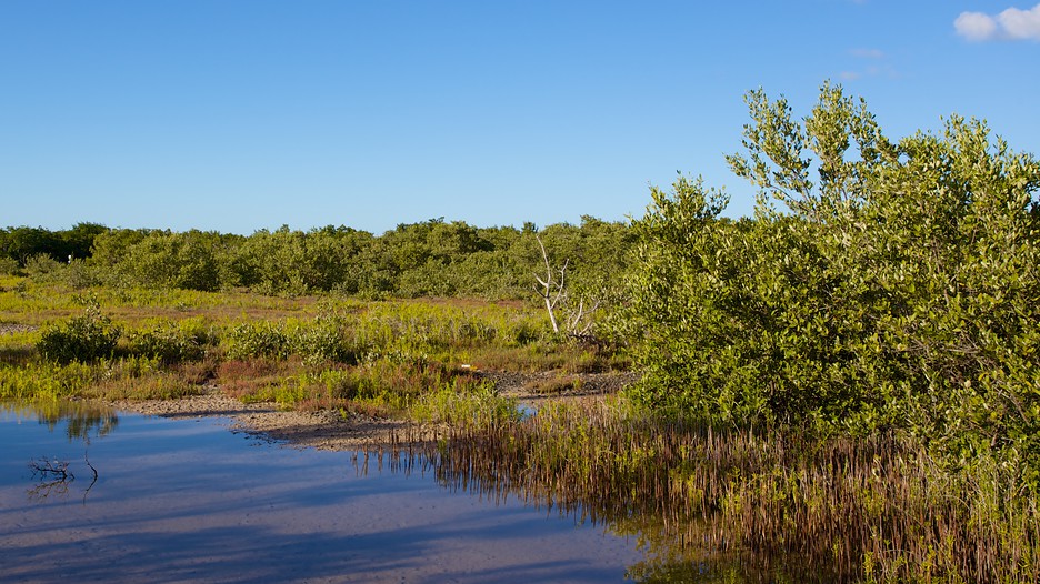 Big Pine Key Vacations 2017 Package & Save up to 603 Expedia