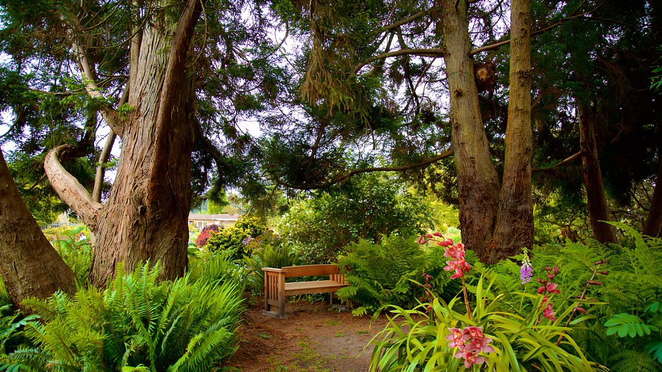 Mendocino Coast Botanical Gardens Fort Bragg |Expedia.co.in