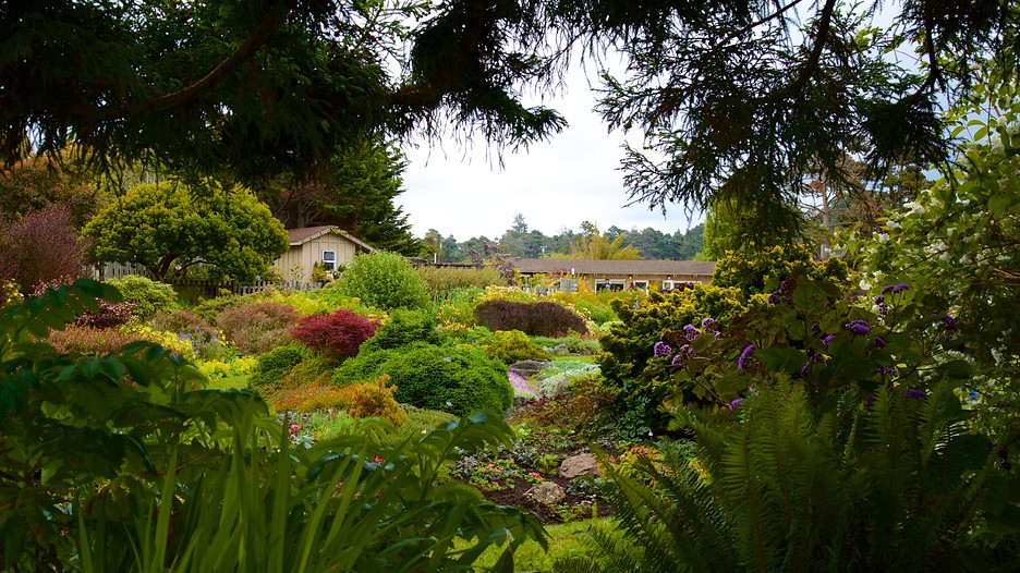 Mendocino Coast Botanical Gardens in Fort Bragg, California Expedia