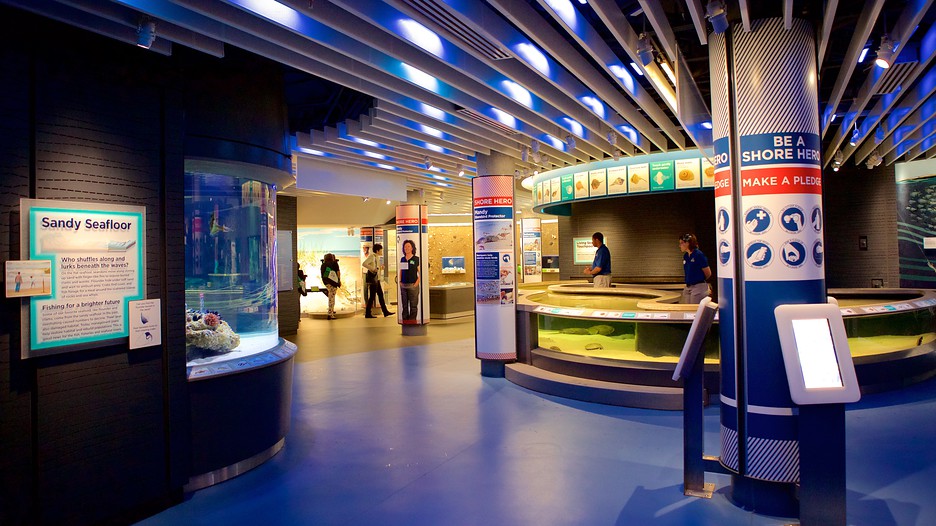 National Aquarium in Baltimore in Baltimore, Maryland Expedia