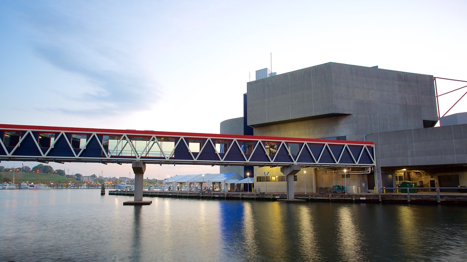 National Aquarium in Baltimore in Baltimore, Maryland Expedia