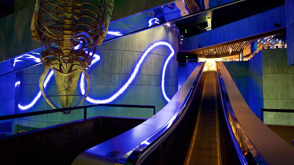 National Aquarium in Baltimore in Baltimore, Maryland Expedia