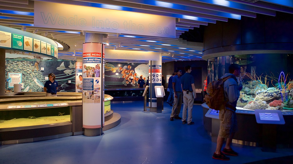 National Aquarium in Baltimore in Baltimore, Maryland Expedia