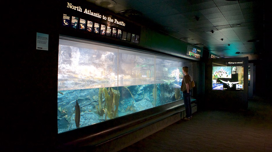 National Aquarium in Baltimore in Baltimore, Maryland Expedia
