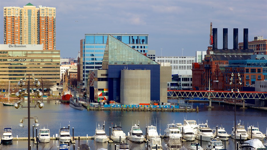 National Aquarium in Baltimore in Baltimore, Maryland Expedia