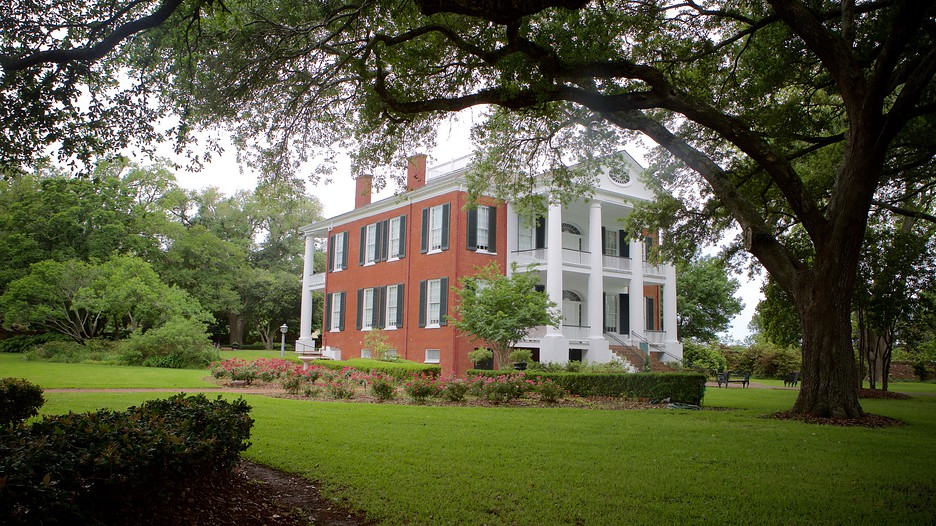 Rosalie Mansion in Natchez, Mississippi Expedia