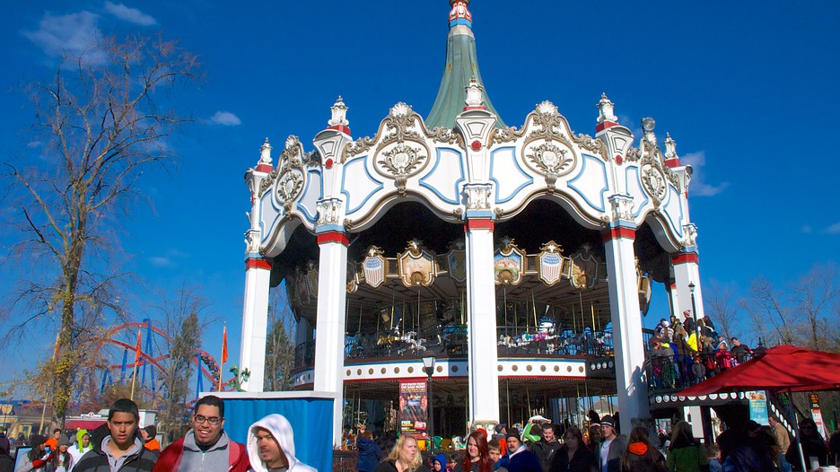 Six flags great america chicago deals