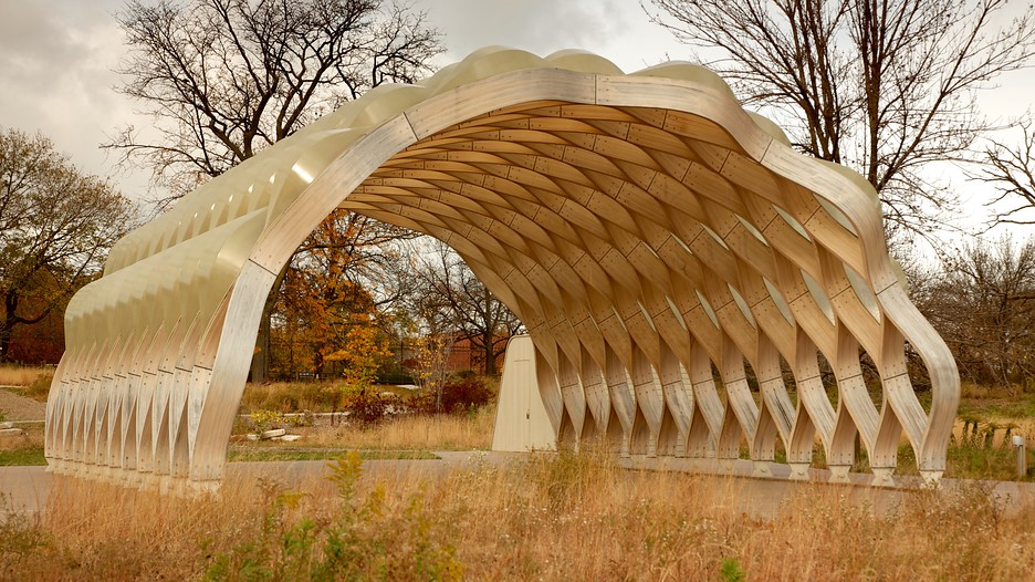 Lincoln park zoo
