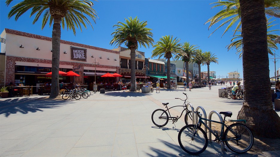 Best Seafood Restaurants In Hermosa Beach Ca Best Seafood Restaurants In Hermosa Beach Ca