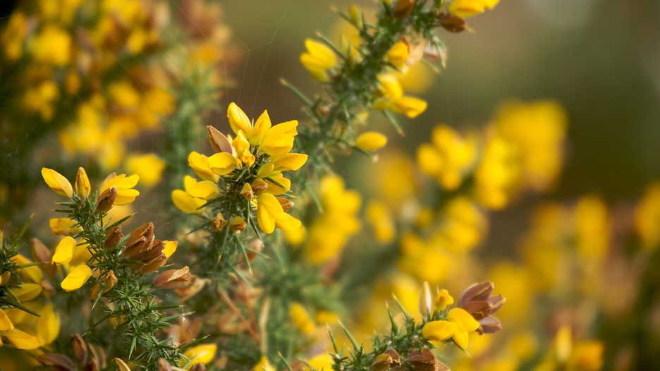 Ireland Vacations 2017 Explore Cheap Vacation Packages Expedia