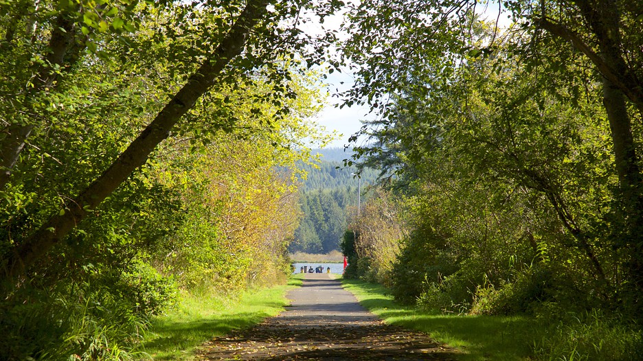 Devil's Lake State Recreation Area in Lincoln City, Oregon Expedia