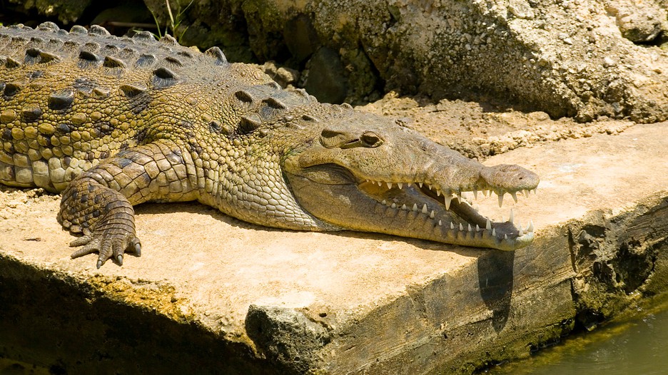 Jamaica Vacations 2017 Explore Cheap Vacation Packages Expedia