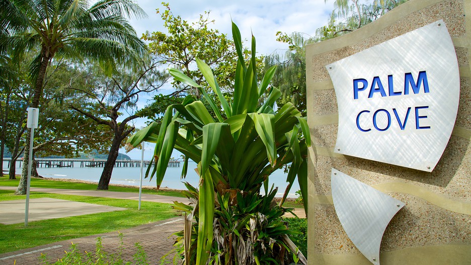 Palm Cove Beach in Cairns, Queensland Expedia