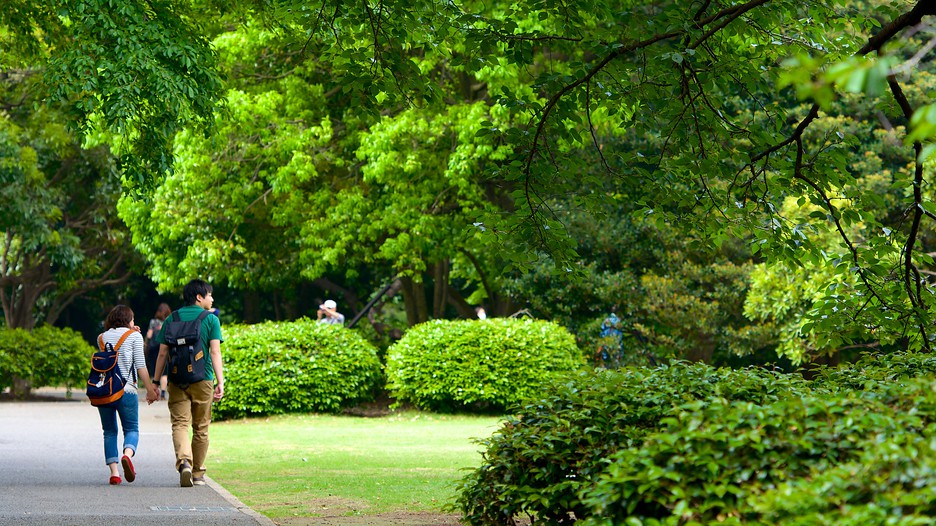 Japan Vacations 2017 Explore Cheap Vacation Packages Expedia