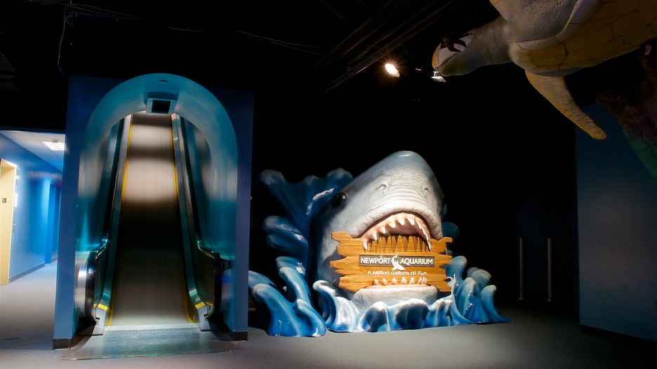 Newport Aquarium in Newport, Kentucky - Newport Aquarium 187077