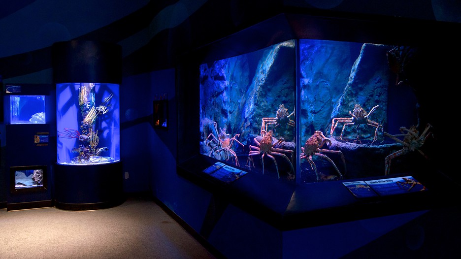 Newport Aquarium in Newport, Kentucky - Newport Aquarium 187083