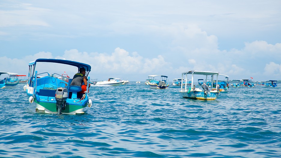Turtle island package deals