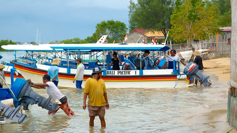 Turtle island package deals