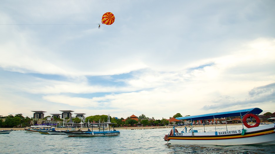 Turtle island package deals