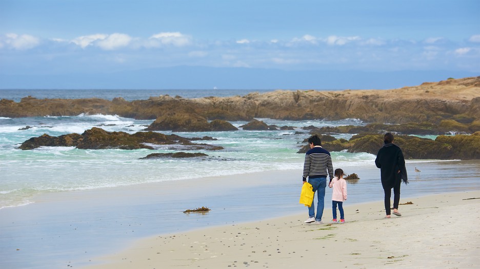 Dog Friendly Hotels Monterey Pacific Grove Dog Friendly Hotels Monterey Pacific Grove