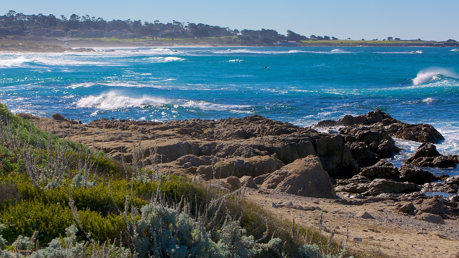 Asilomar State Beach In Pacific Grove California Expedia Asilomar State Beach In Pacific Grove California Expedia