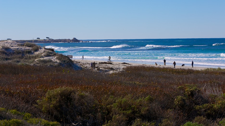Dog Friendly Beaches Pacific Grove Ca Dog Friendly Beaches Pacific Grove Ca
