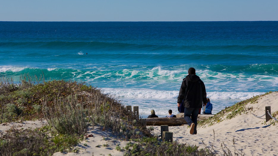 Asilomar State Beach in Pacific Grove, California Expedia