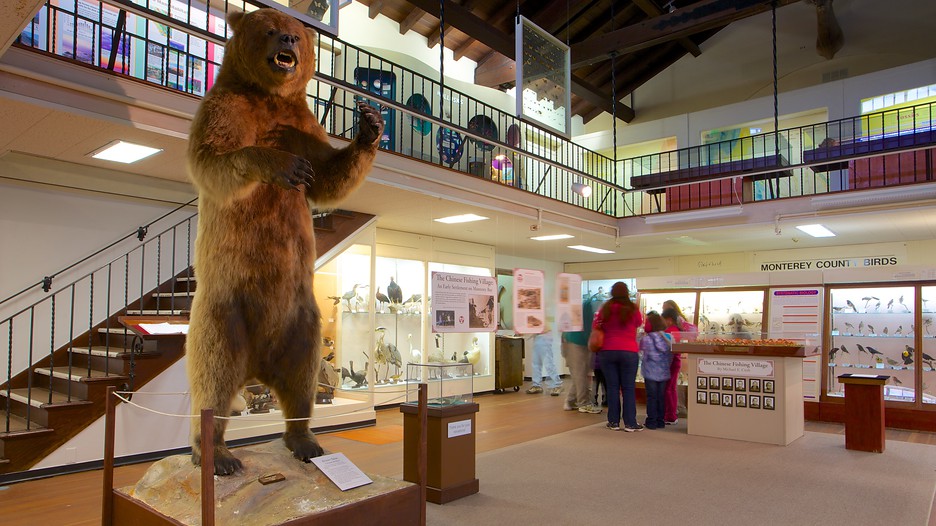 Paicifc Grove Museum Of Natural History Paicifc Grove Museum Of Natural History