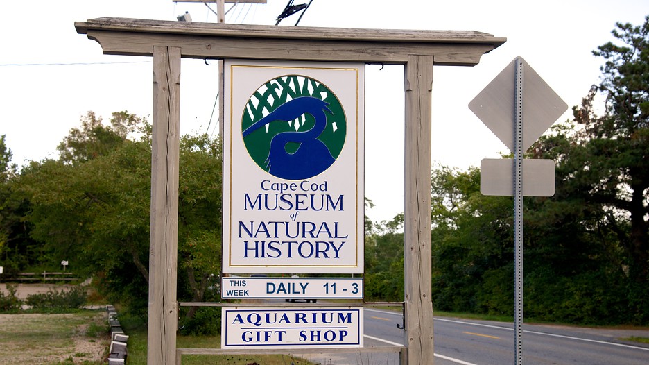 Museum Of Natural History Brewster Massachusetts Museum Of Natural History Brewster Massachusetts