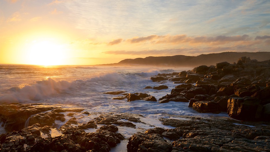 Cap de BonneEspérance Découvrez Le Cap et ses environs avec Expedia.fr