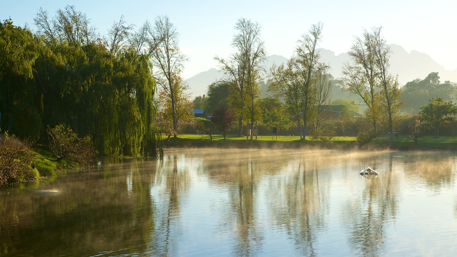 Spier Wine Estate in Cape Town, Expedia