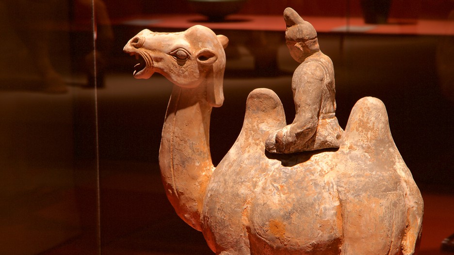 Bowers museum in santa ana california expedia