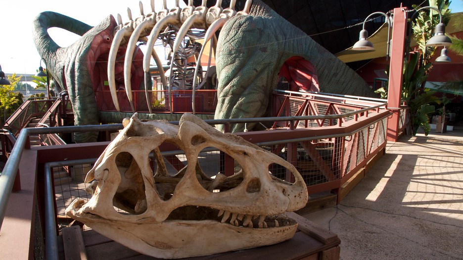 Discovery Science Center in Santa Ana, California Expedia