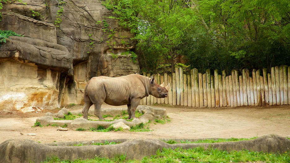 Cincinnati Zoo and Botanical Garden in Cincinnati, Ohio Expedia.ca