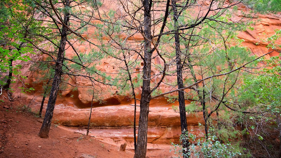 Springdale Utah Rental Car Springdale Utah Rental Car