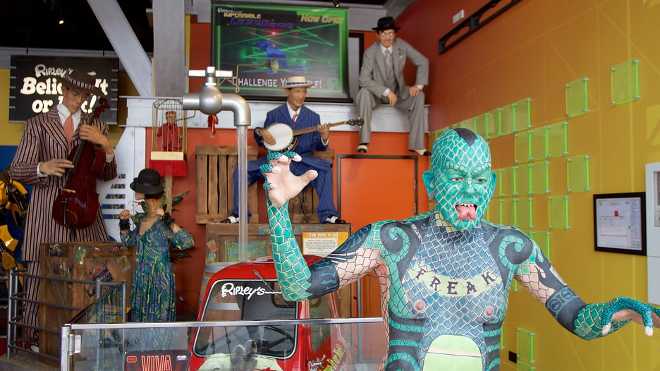 Ripley's Believe It or Not Surfers