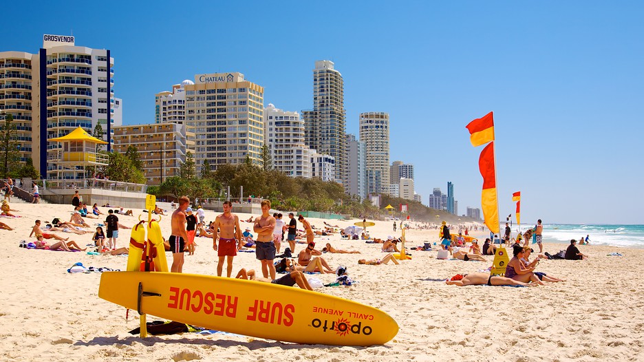 paradise surf