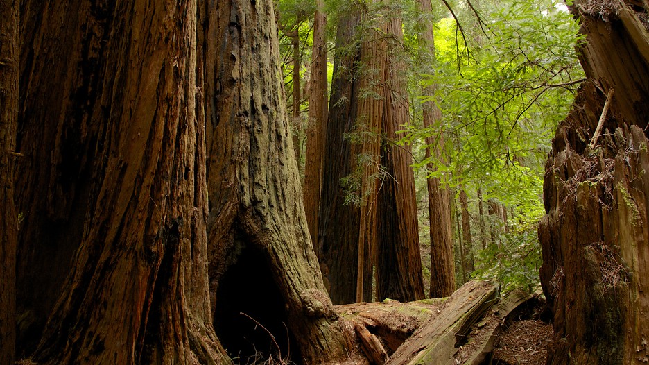 aldwark manor golf & spa resort nr york