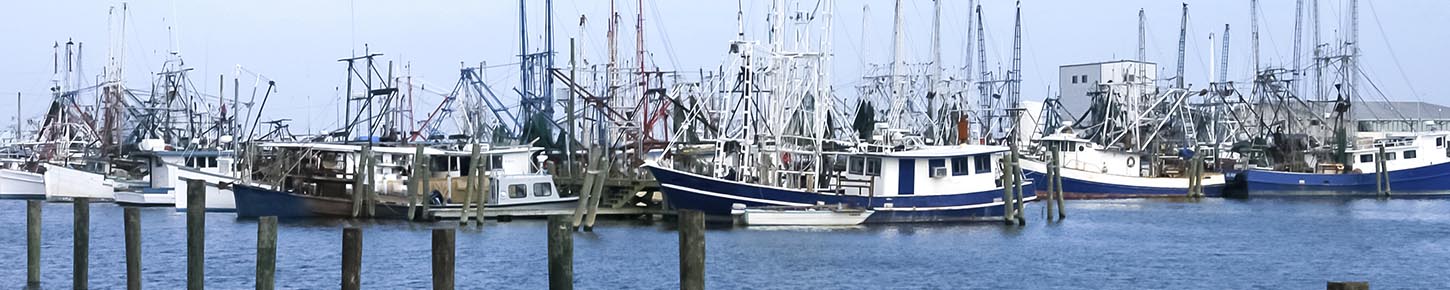 Cheap Plane Tickets To South Padre Island Cheap Plane Tickets To South Padre Island