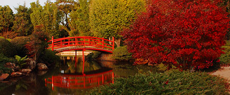 Toowoomba Hotel With Spa In Room Toowoomba Hotel With Spa In Room