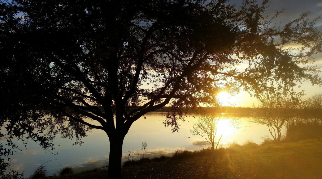 Great walking Ambiance