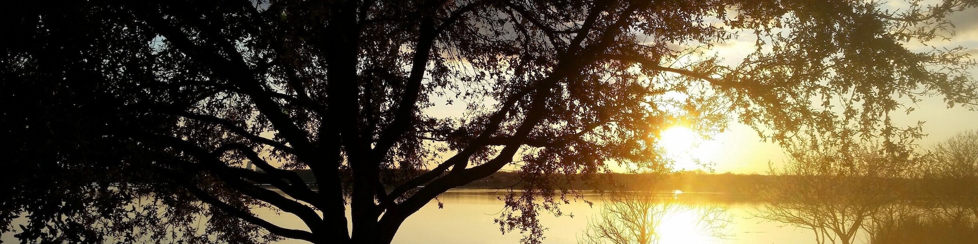 Great walking Ambiance