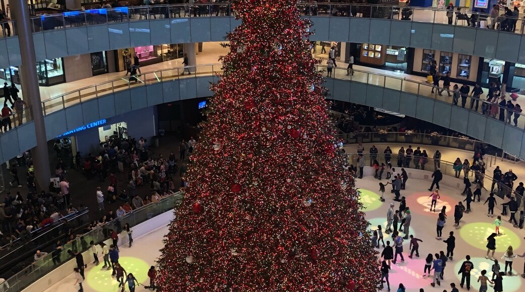 Christmas tree and skating