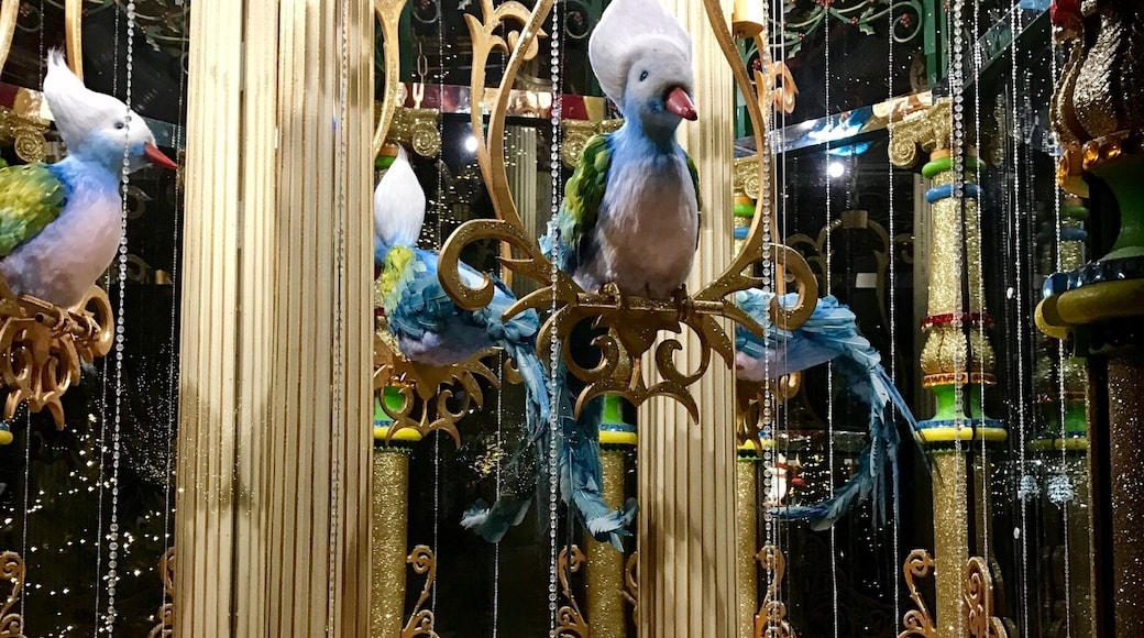 12 Days of Christmas at the Dallas Arboretum